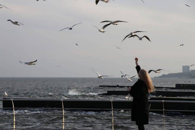 Das Mädchen am Wasser streckt den Tauben die Hand entgegen