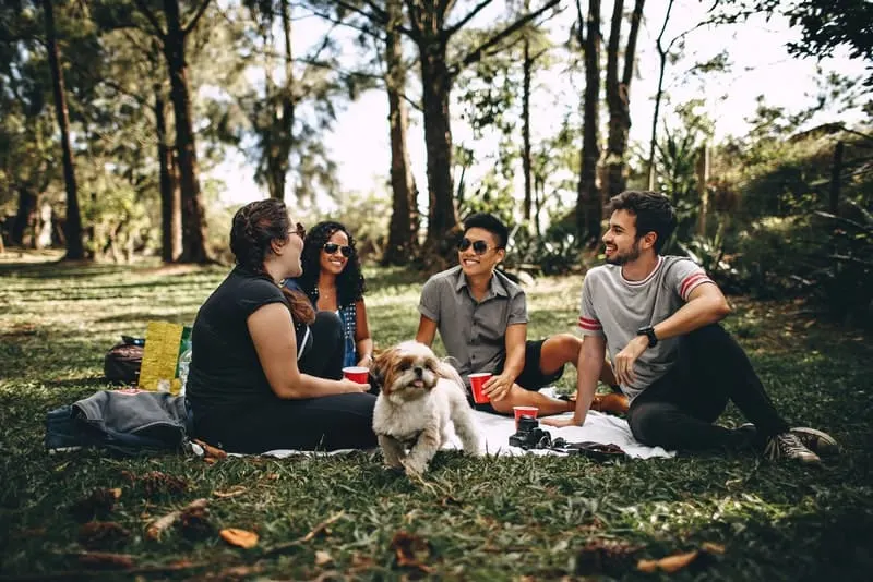 ein Picknick eines Freundes im Wald mit einem kleinen Hund
