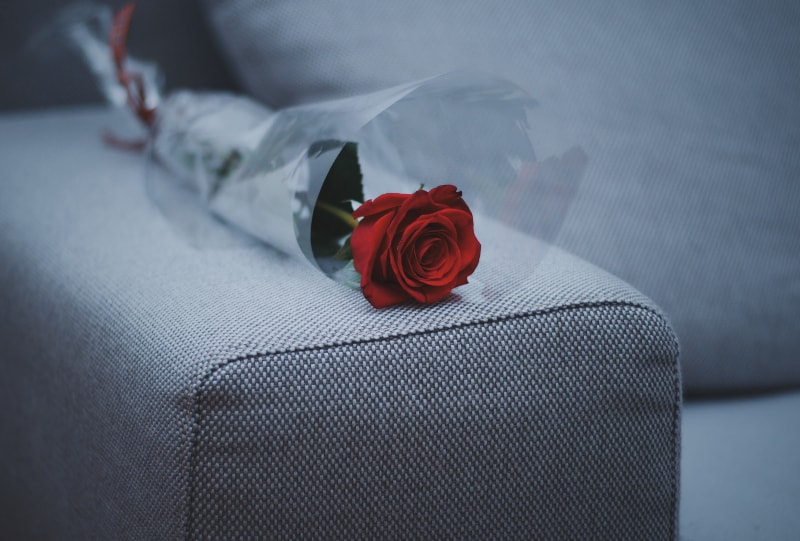 rote Rosenblume auf grauem Stoffsofa