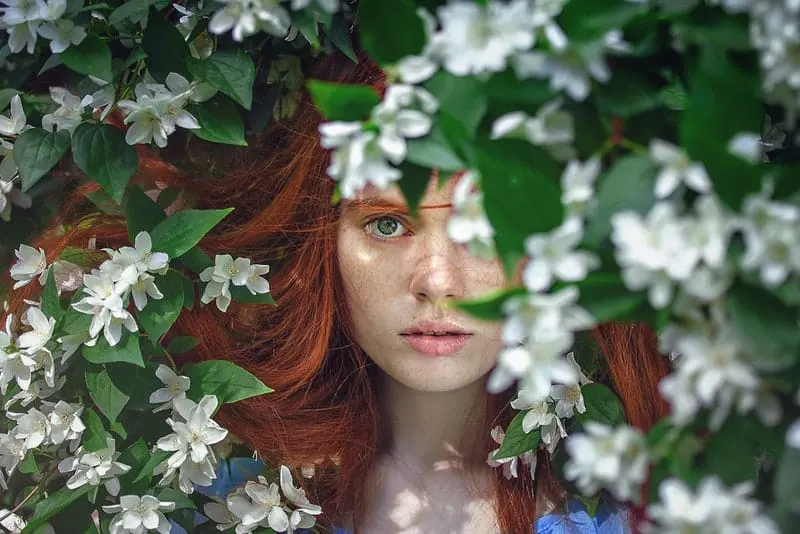 der Blick der Frau hinter den Blumen