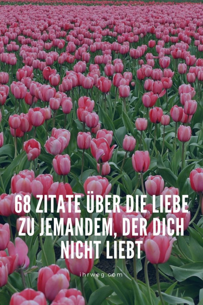 Download Sprueche unerfuellte liebe HD