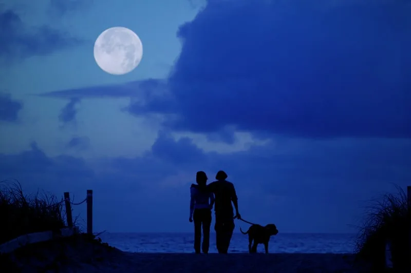 moonlight couple walk