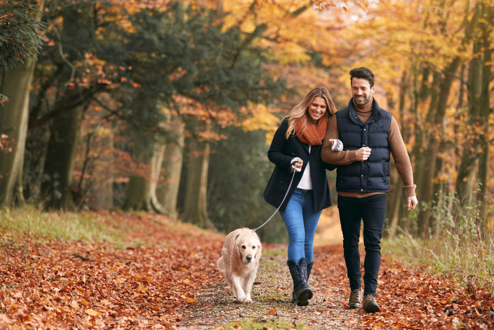 Ein lächelnder Mann und eine Frau gehen mit einem Hund in einem Herbstpark spazieren