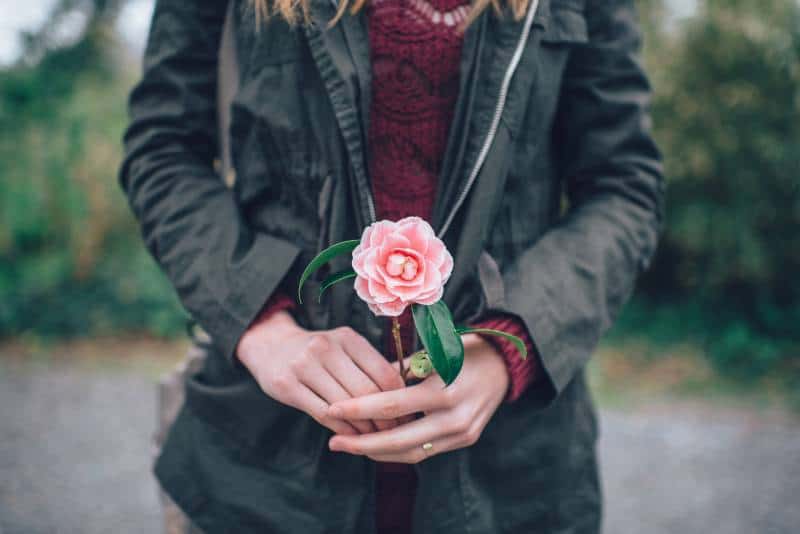 Frau, die rosa Rose hält, die nahe Bäume während des Tages steht
