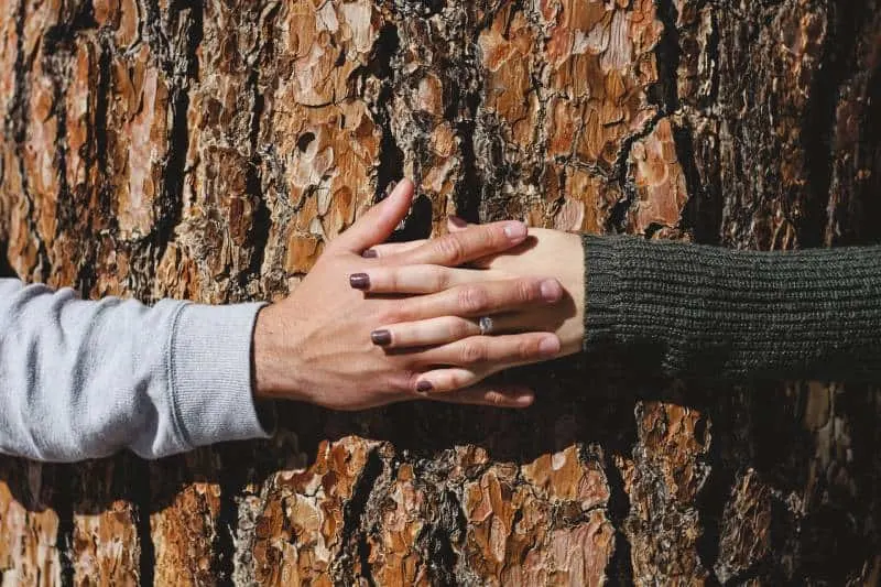 Mann und Frau Hand verbinden auf Baumstamm