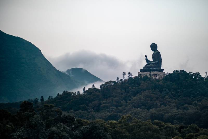 schwarze und graue Buddha-Statue auf Hügel