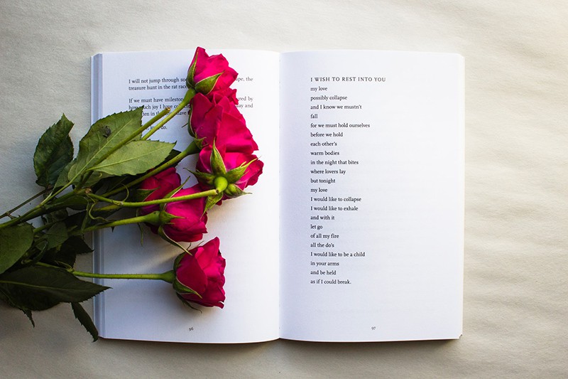  ein Buch mit Liebesgedichten und roten Rosen darauf