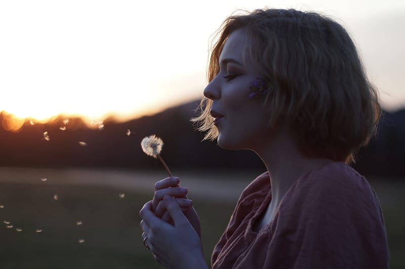 eine Frau, die eine Löwenzahnblume in der Natur während des Sonnenuntergangs bläst