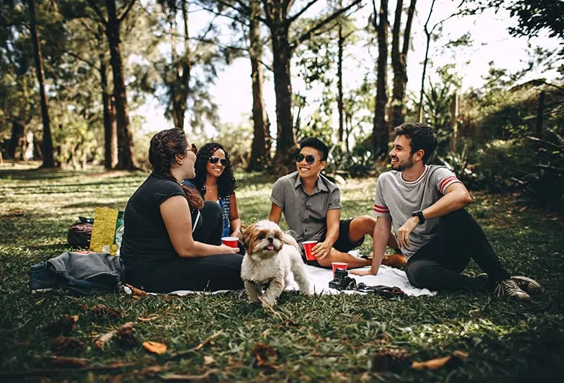 eine positive Gruppe von Freunden, die zusammen auf der Decke im Park sitzen