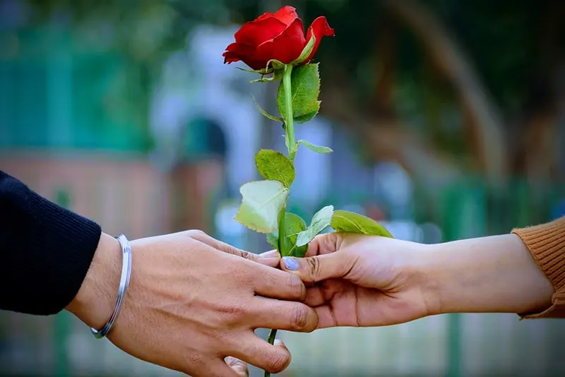 Ein Mann und eine Frau halten eine rote Rose, während sie im Freien stehen