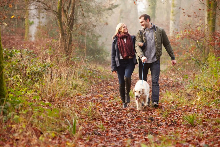 Ein Mann und eine Frau kämpfen im Wald mit einem Hund