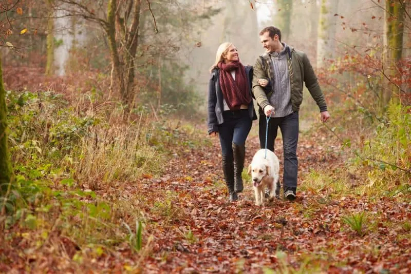 Ein Mann und eine Frau kämpfen im Wald mit einem Hund