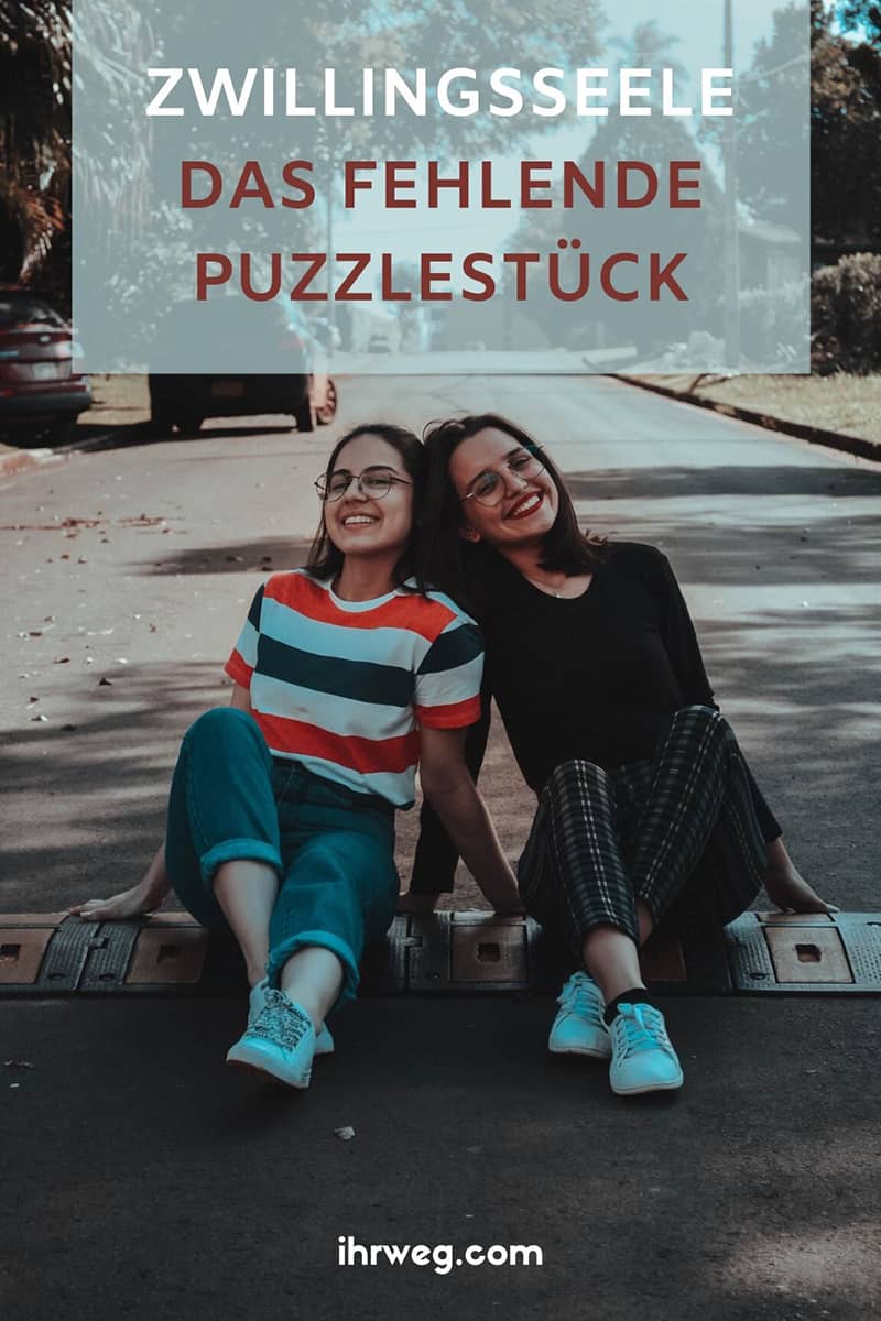 Zwillingsseele - Das Fehlende Puzzlestück