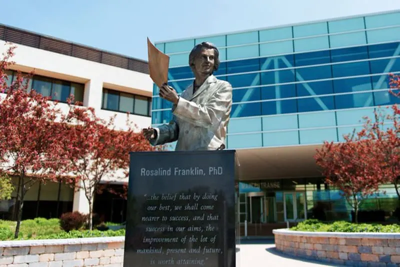 eine Statue von Rosalind Franklin am Eingang der Universität