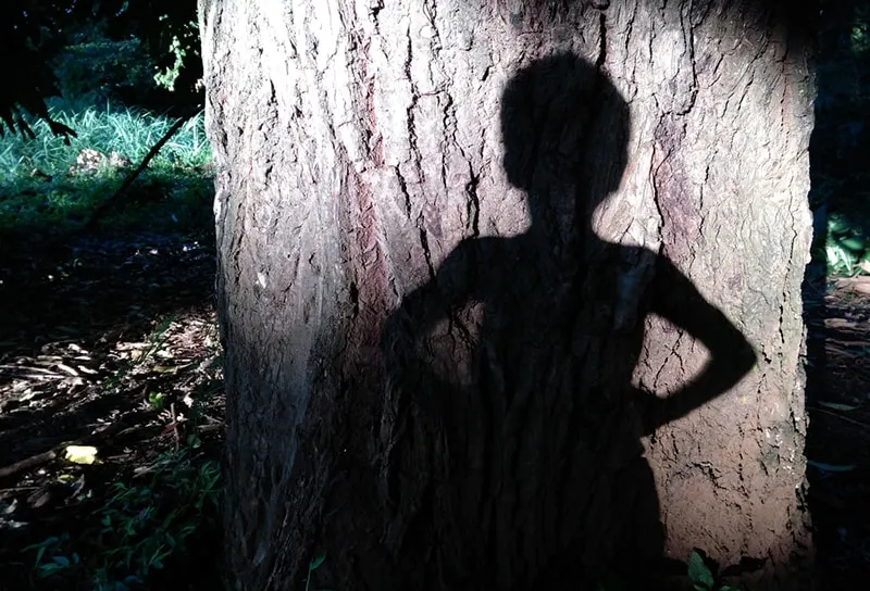 ein Schatten eines kleinen Jungen auf dem Baum