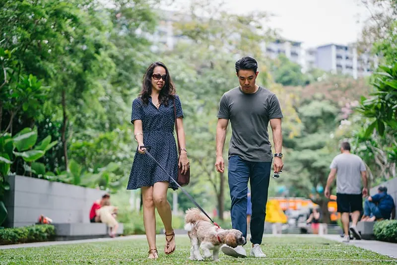 eine Frau und ein Mann gehen mit einem Hund in den Park