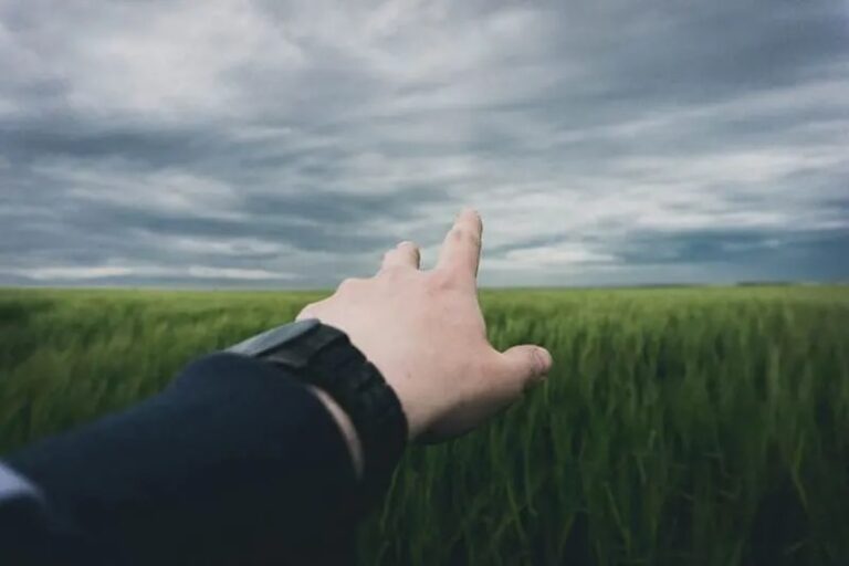 Hand vor dem Feld