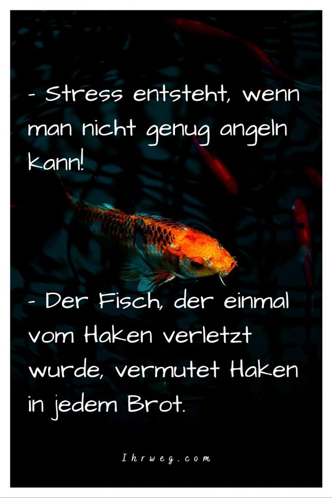 Tauche mit diesen 150 FischeSprüchen in die Wasserwelt ein!