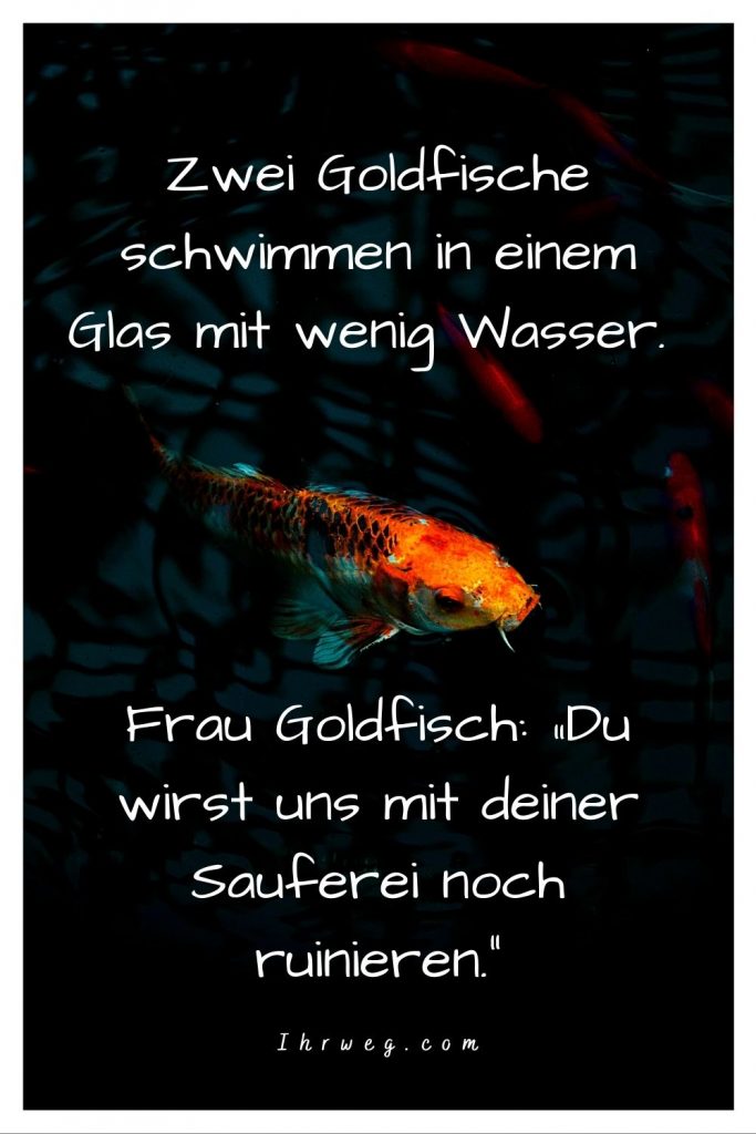 Tauche mit diesen 150 FischeSprüchen in die Wasserwelt ein!