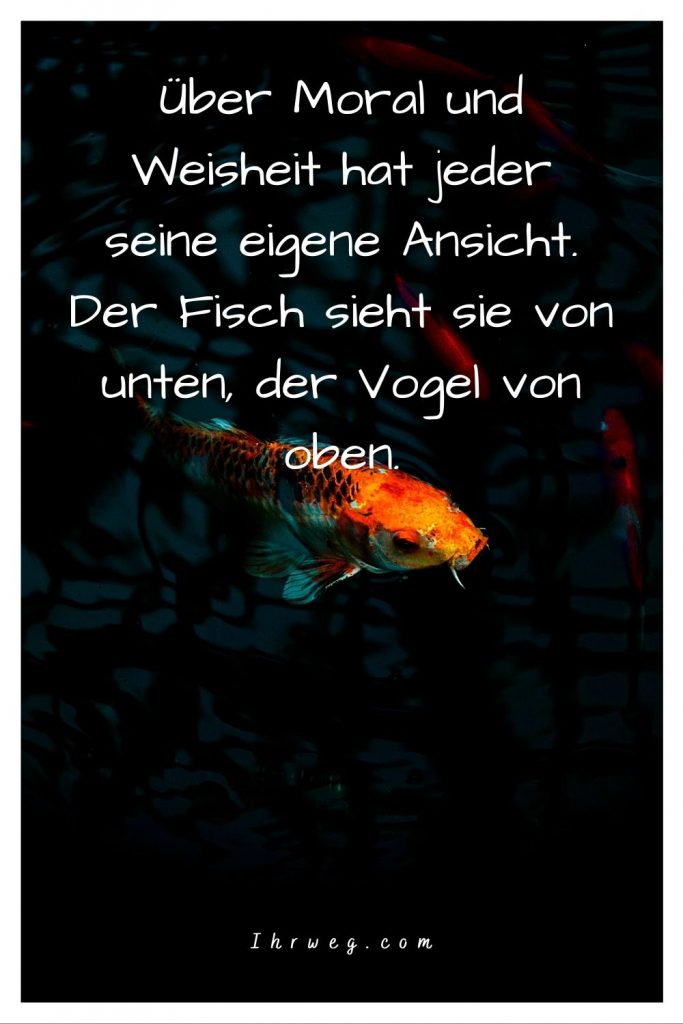 Tauche mit diesen 150 FischeSprüchen in die Wasserwelt ein!