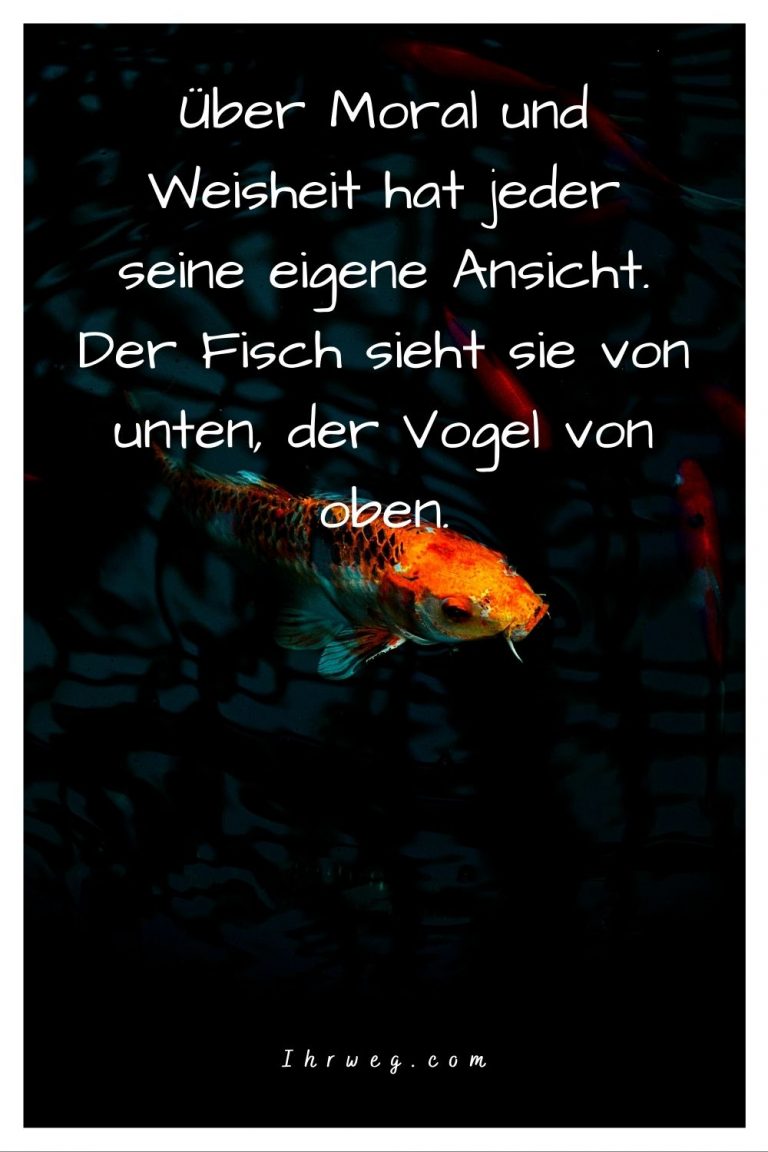 Tauche mit diesen 150 FischeSprüchen in die Wasserwelt ein!