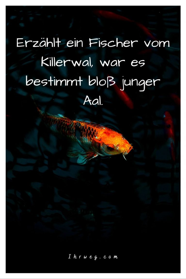 Tauche mit diesen 150 FischeSprüchen in die Wasserwelt ein!