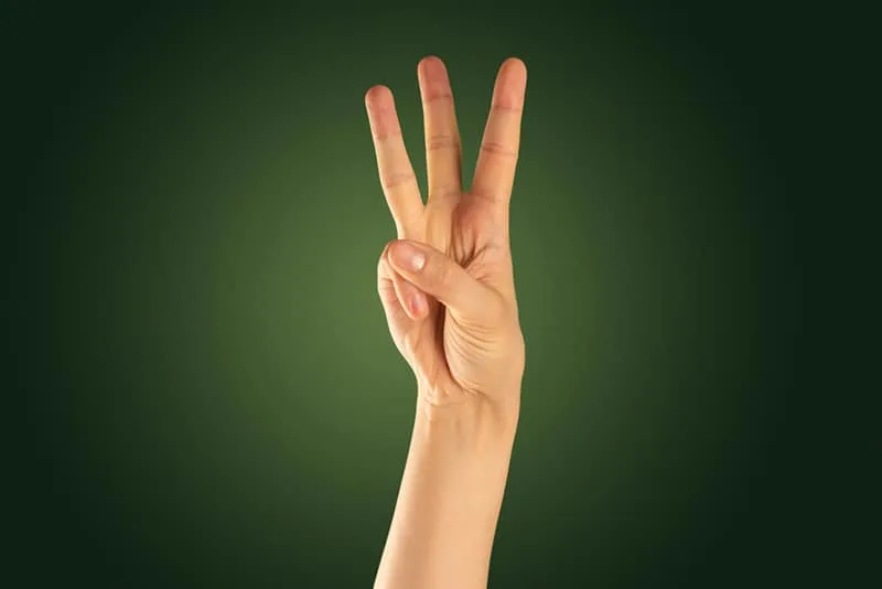 eine Person hebt die Hand und zeigt die Nummer drei mit den Fingern