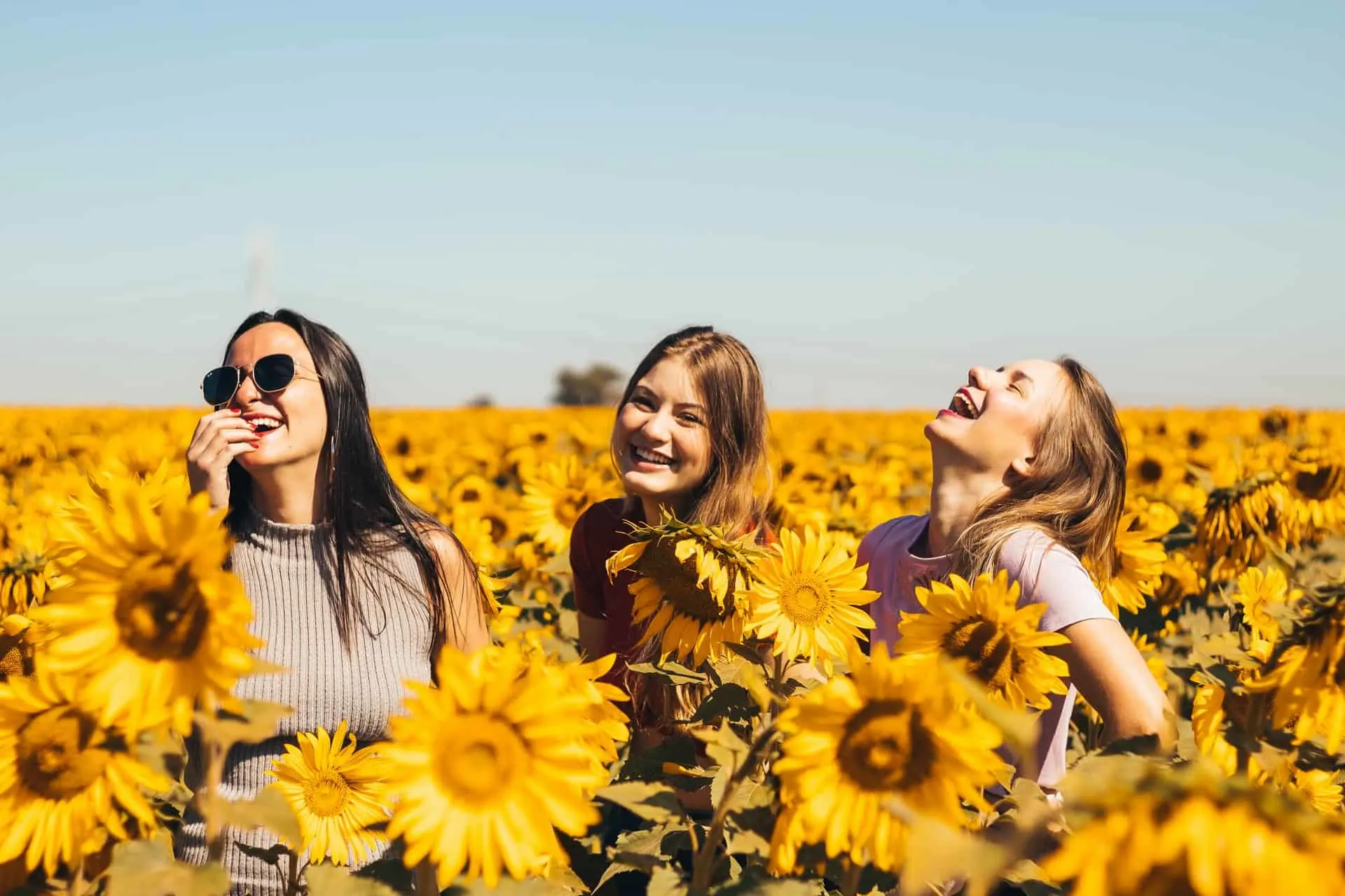 Freunde, die in einem Sonnenblumenfeld lachen