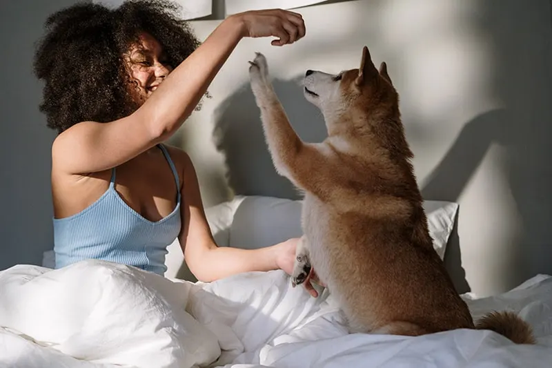 eine Frau, die mit einem Hund spielt, während sie im Bett sitzt