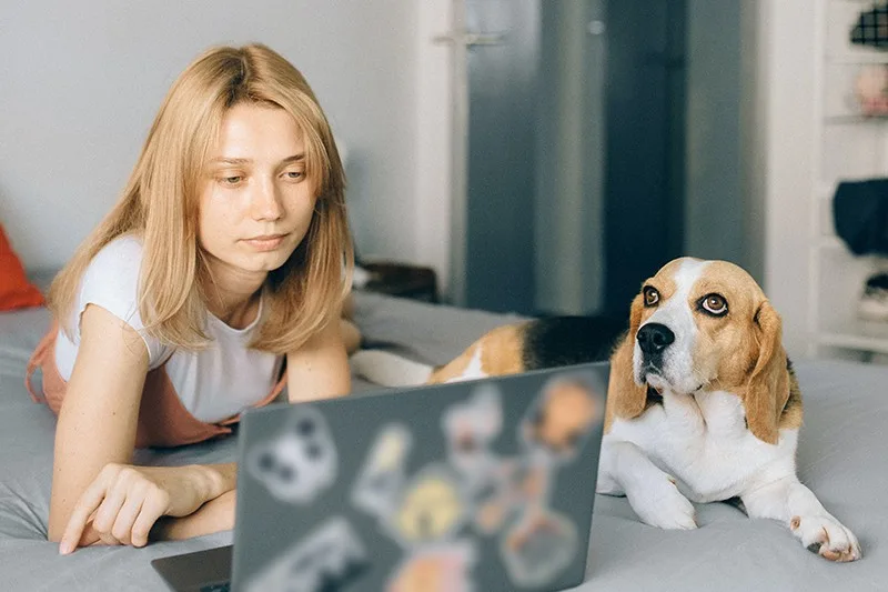 eine nachdenkliche Frau, die neben dem Hund auf dem Bett liegt und auf den Laptop schaut