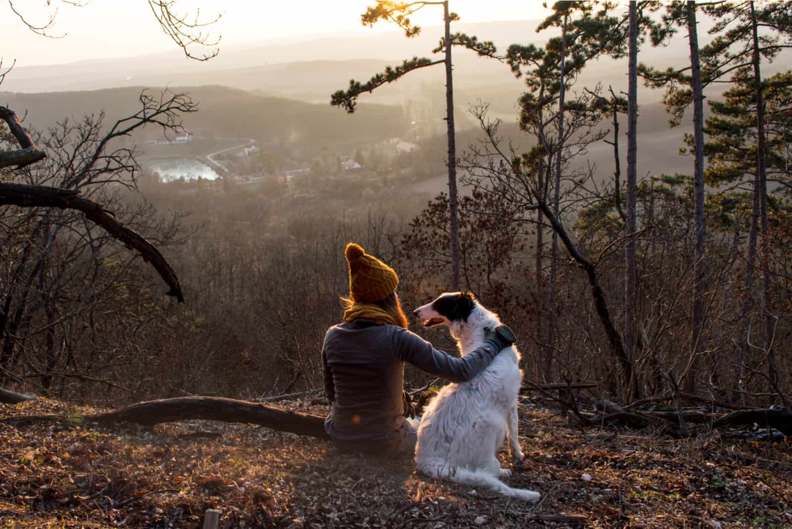 Das Mädchen ruht mit ihrem Hund in den Bergen