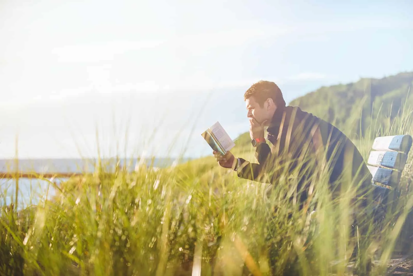 ein Mann, der ein Buch liest, das auf der Bank im hohen Gras sitzt
