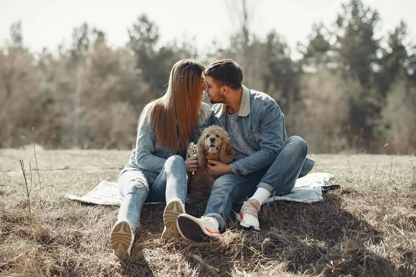 Ein liebevolles Paar, das sich gerade küssen will und mit einem Hund zwischen ihnen auf dem Rasen sitzt