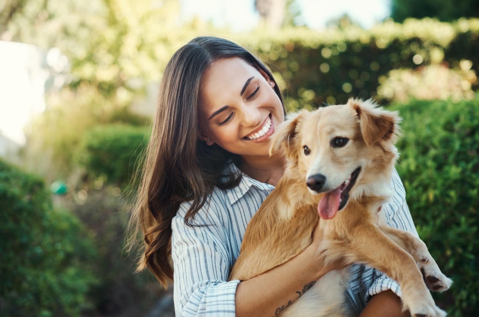 frau mit hund