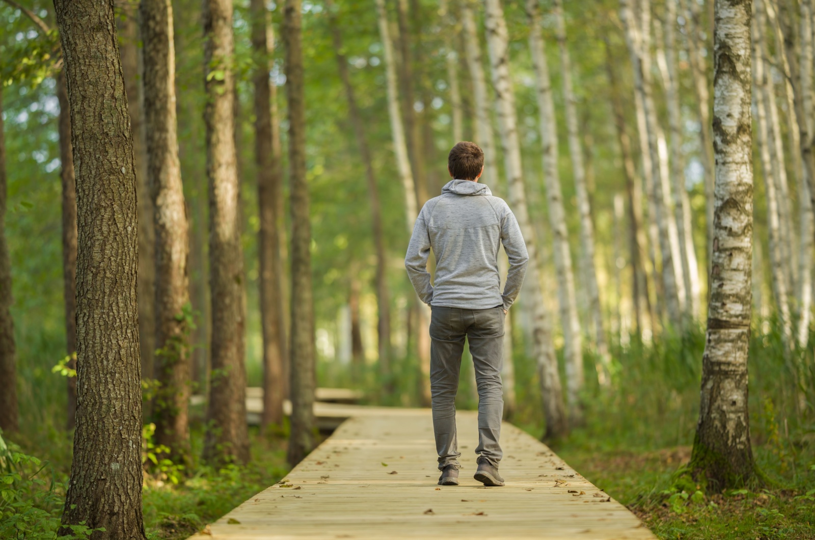 mann geht durch wald