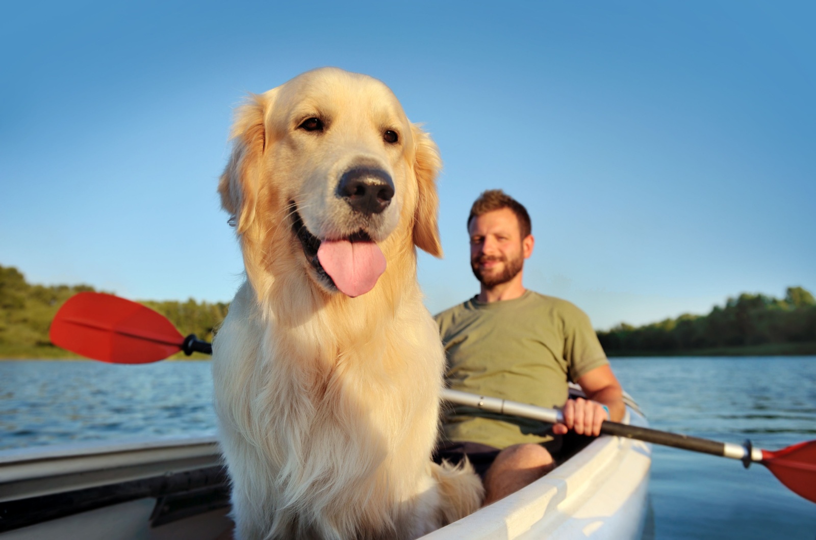 mann mot hund im boot
