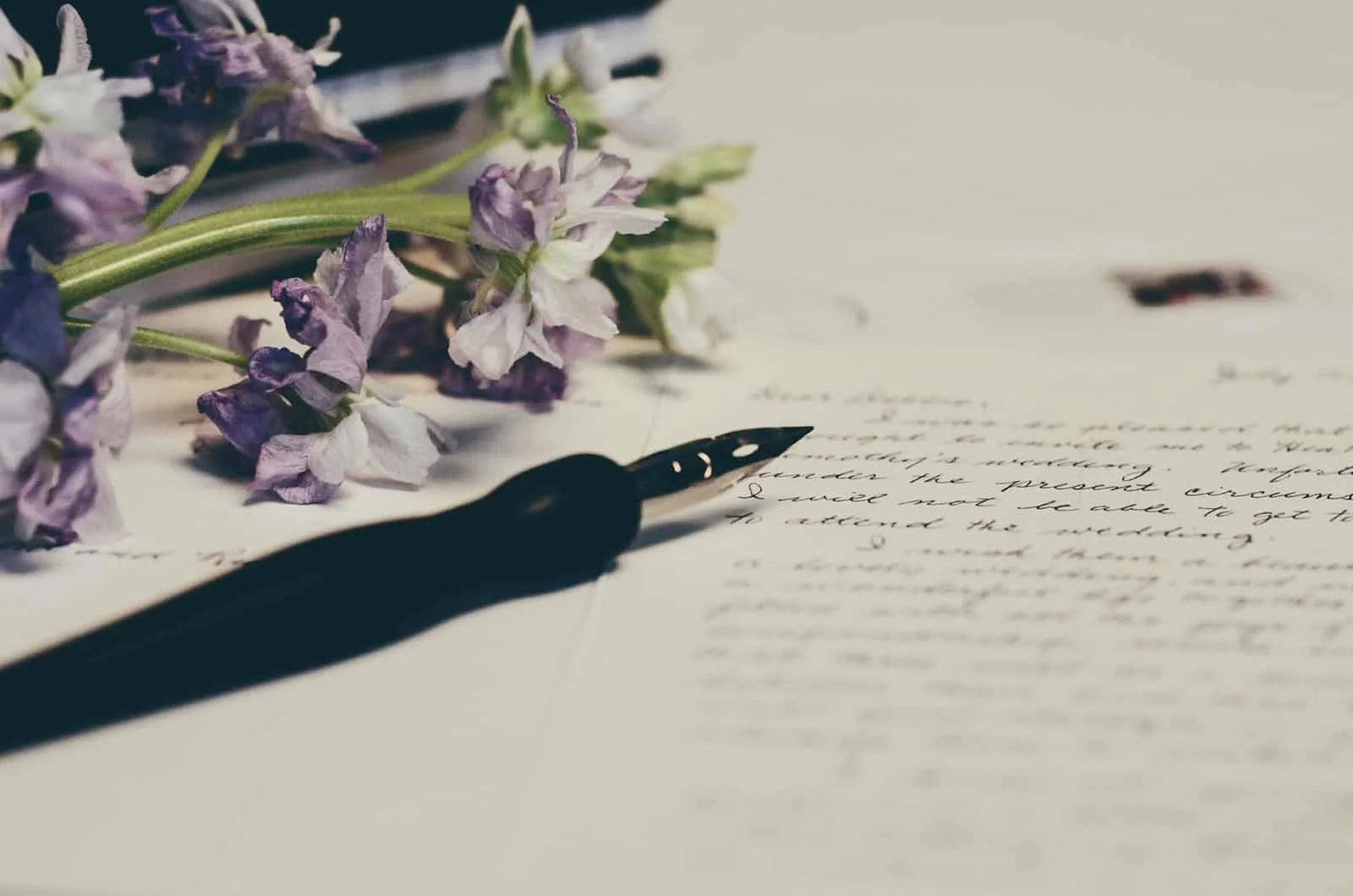 ein Stift und ein Liebesbrief mit lila Blumen daneben