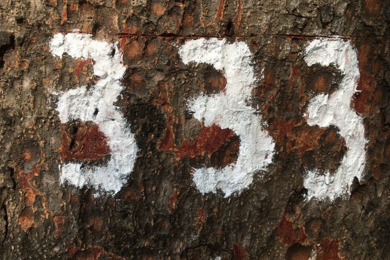 Nummer 333 auf dem Baum