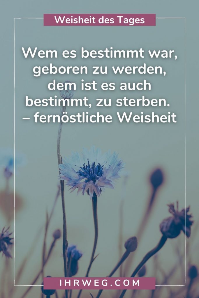 Weisheit des Tages - 365 kluge Sprüche für jeden Tag des Jahres