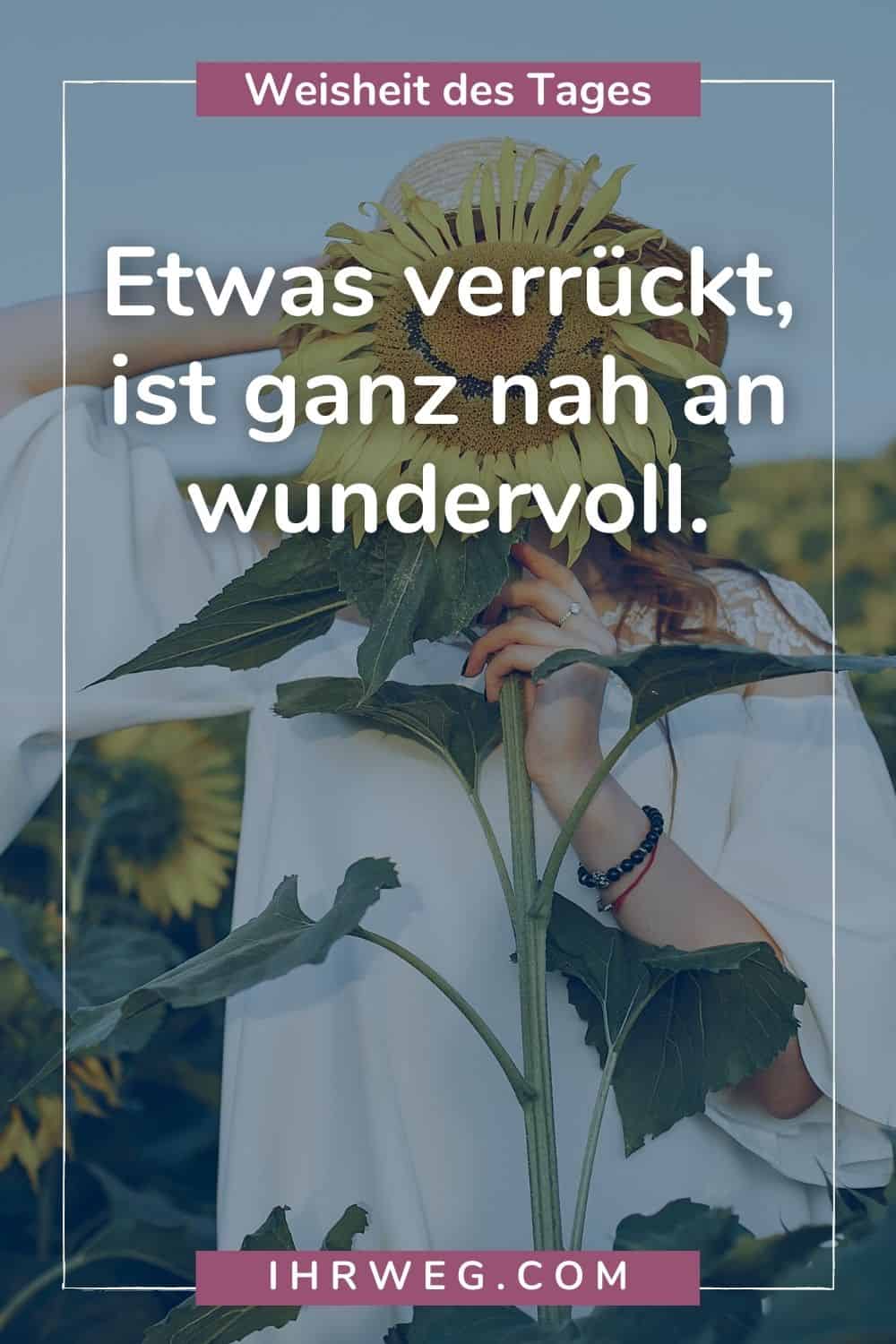 weisheit des tages