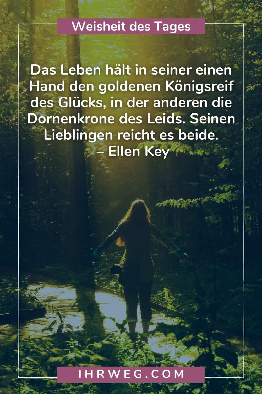 weisheit des tages