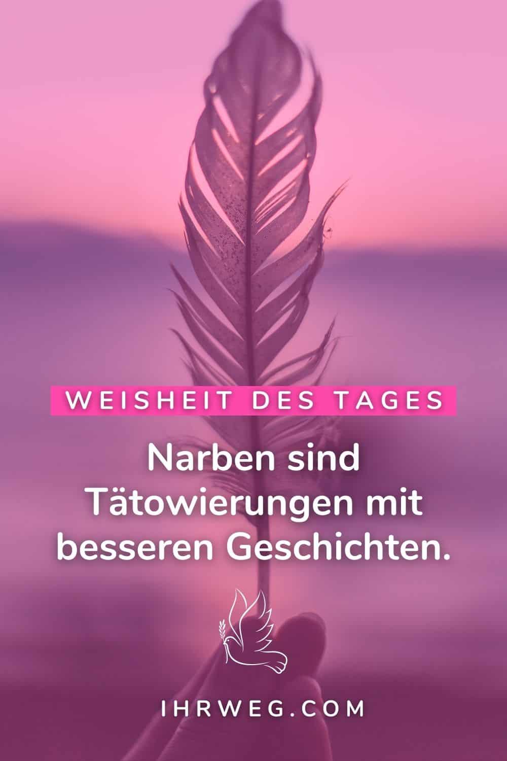 weisheit des tages