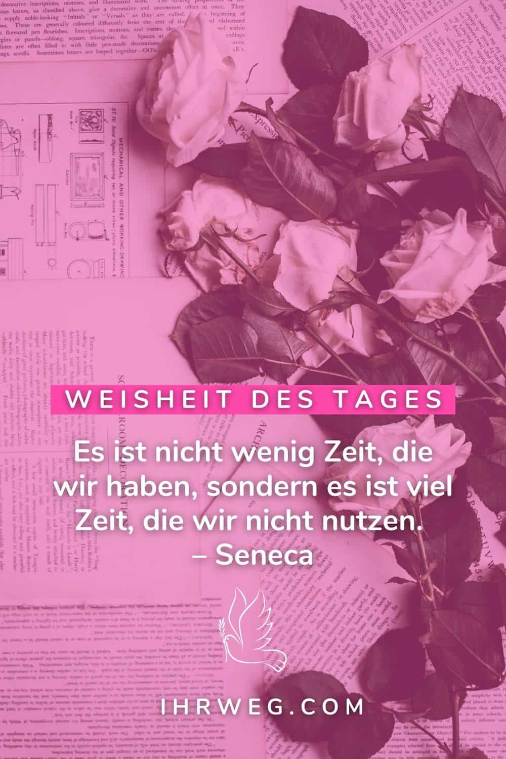 weisheit des tages
