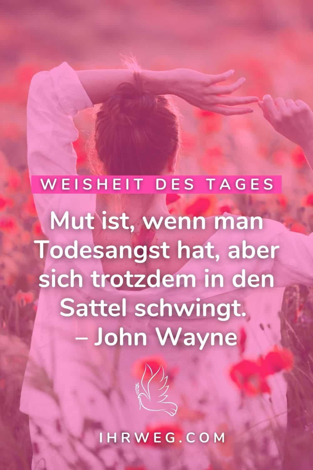 weisheit des tages