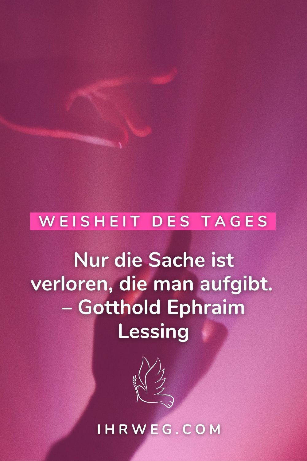 weisheit des tages