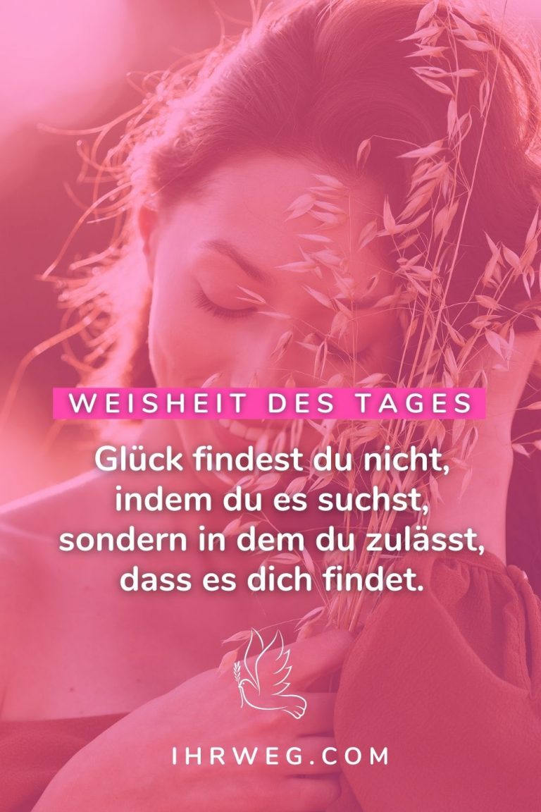 Weisheit des Tages 365 kluge Sprüche für jeden Tag des Jahres