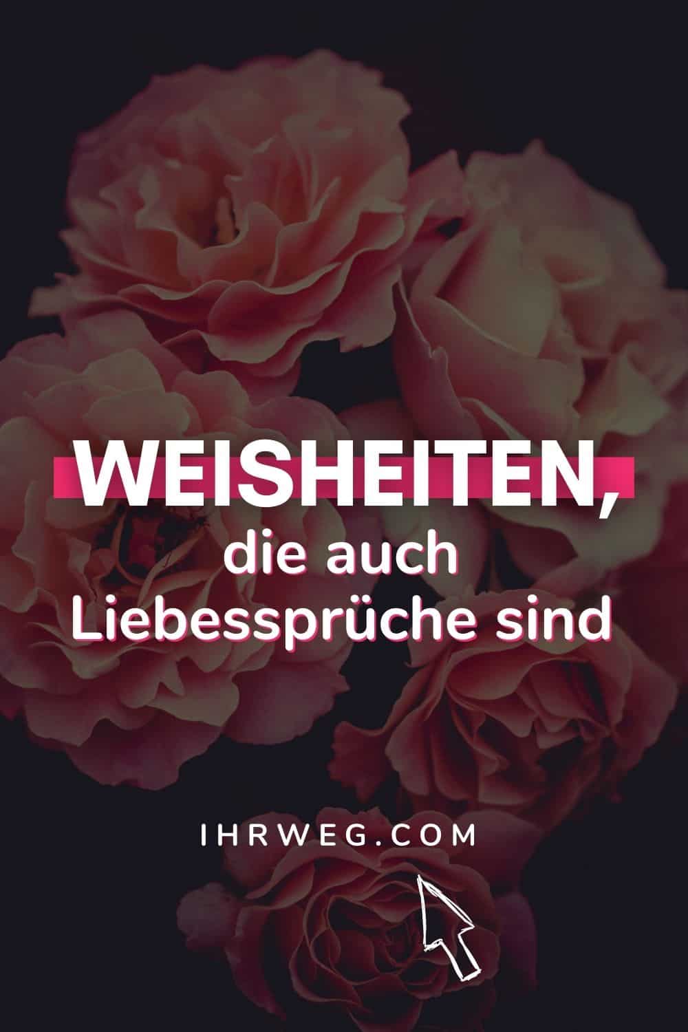 weisheit des tages
