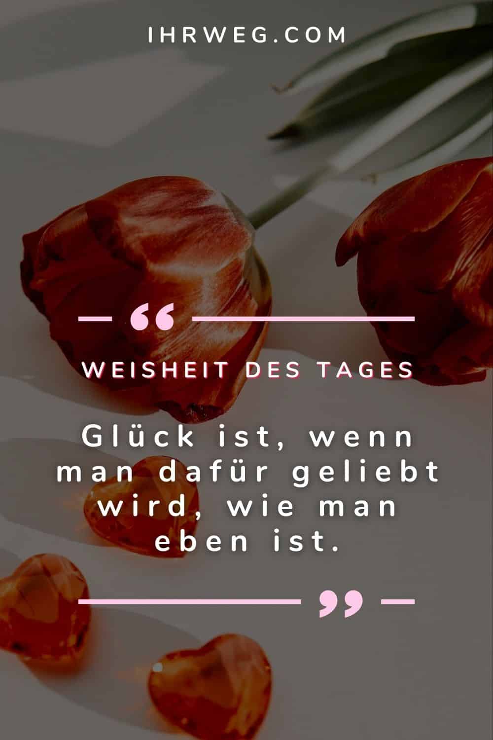 weisheit des tages