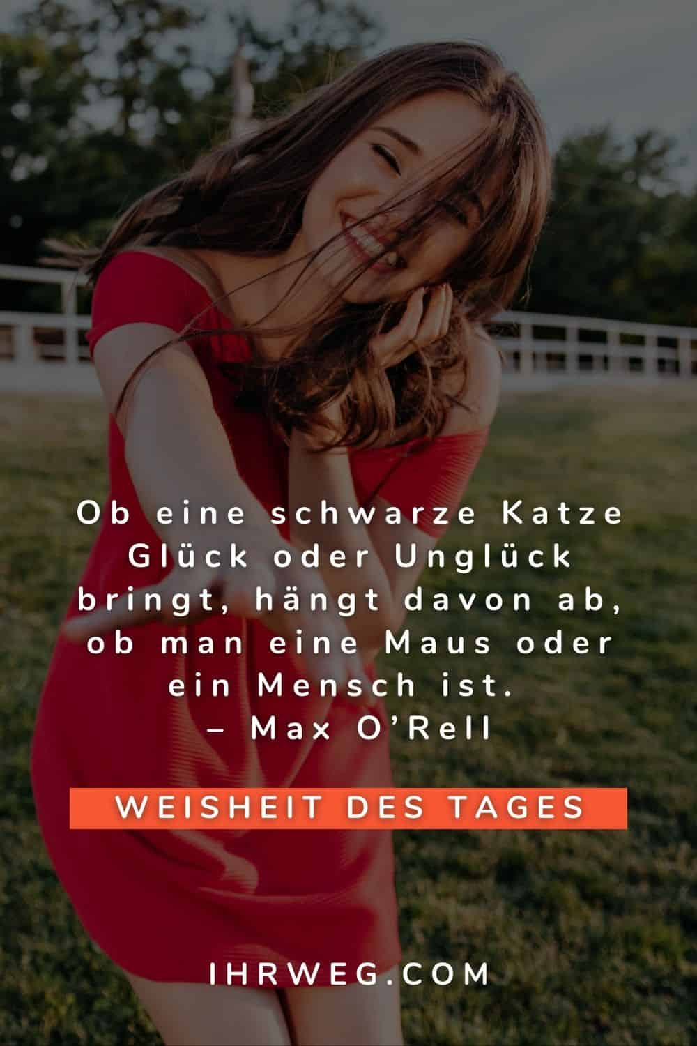 weisheit des tages