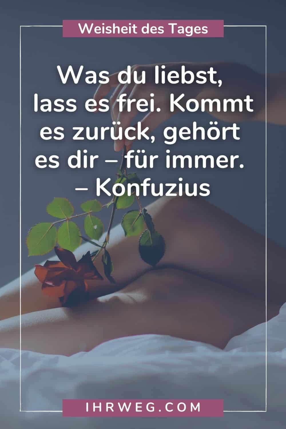 weisheit des tages